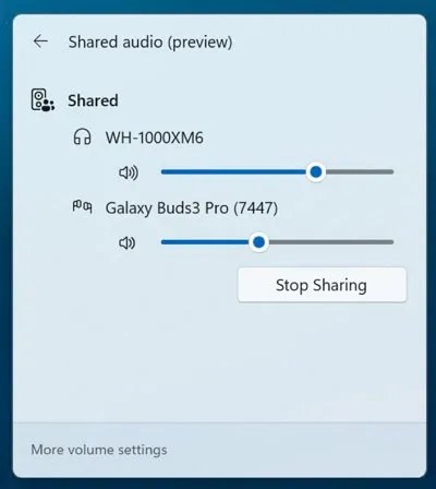 Shared audio feature