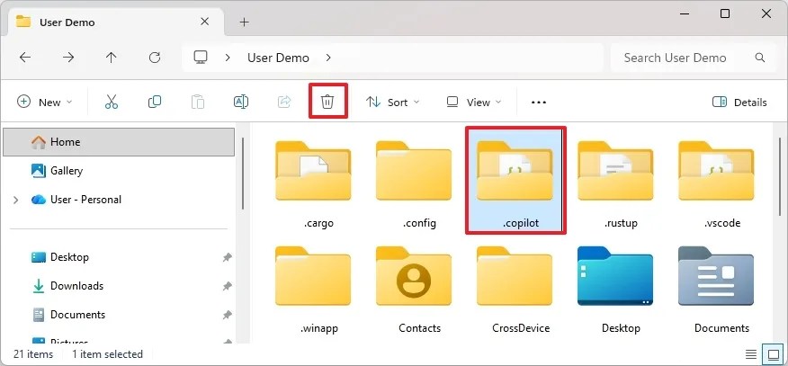 Delete .copilot folder