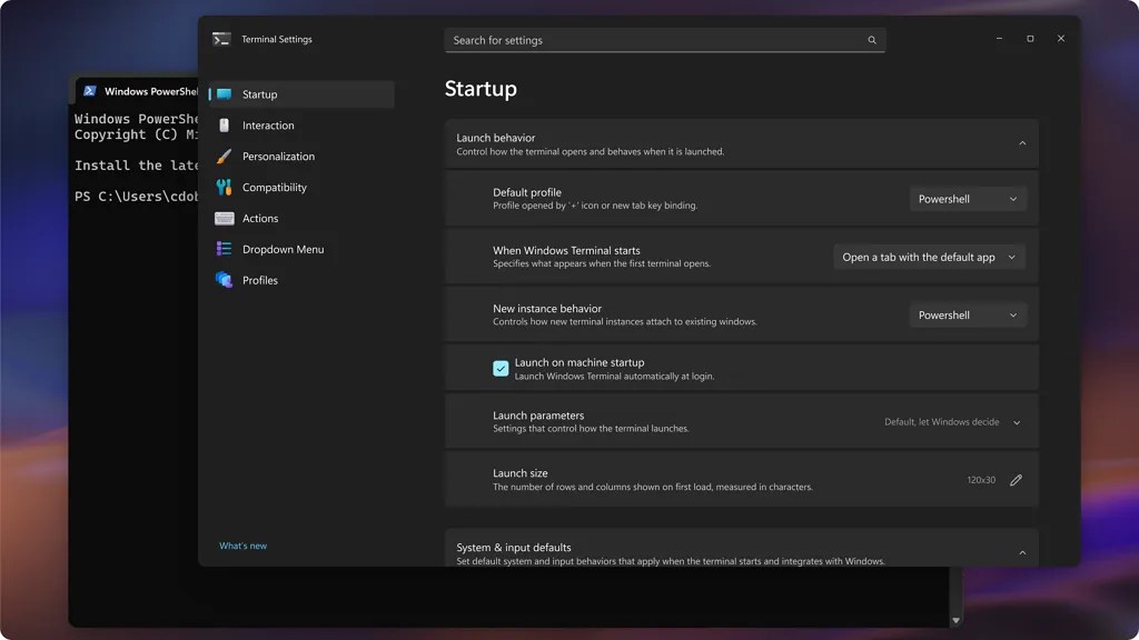 New Terminal settings window