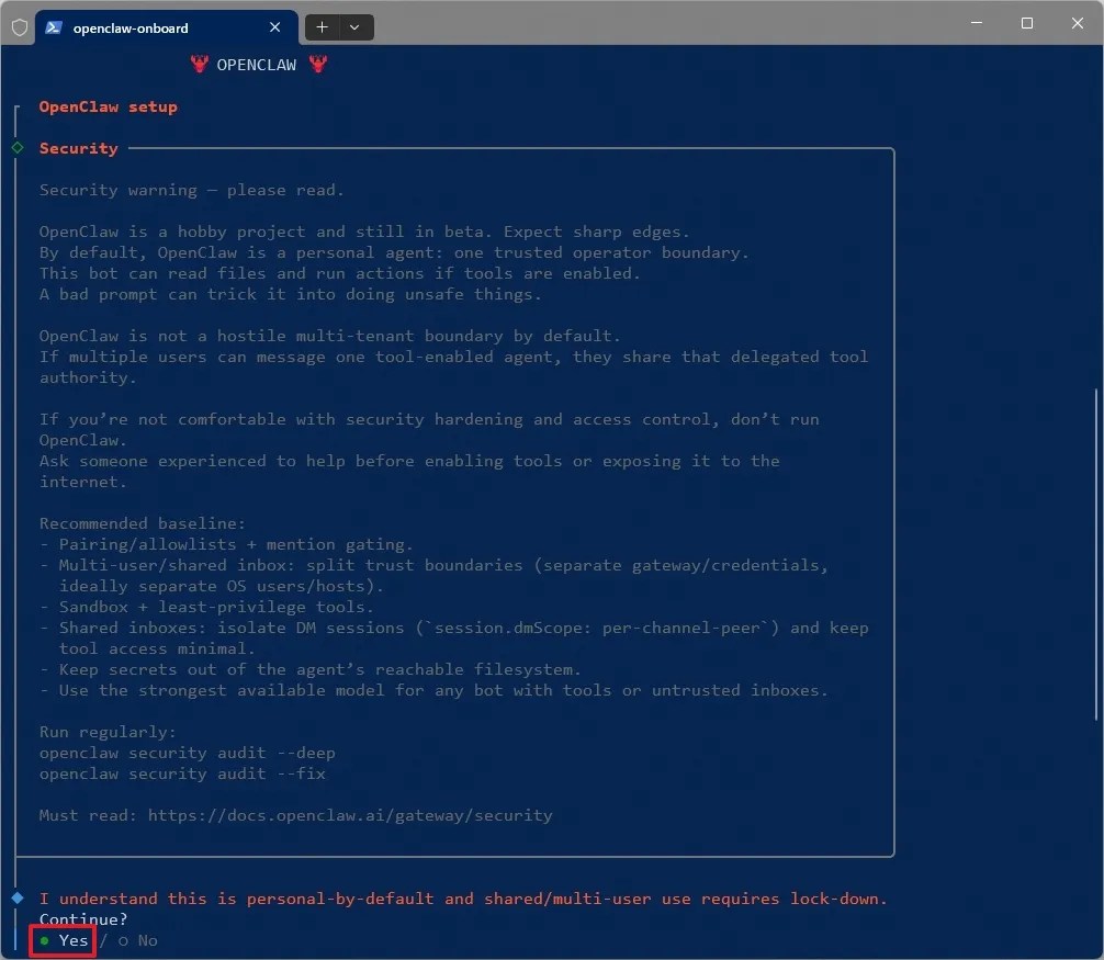 OpenClaw security during install