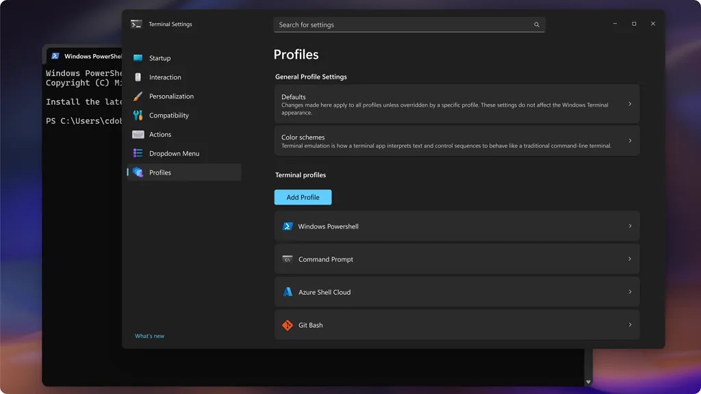 Terminal Profiles settings