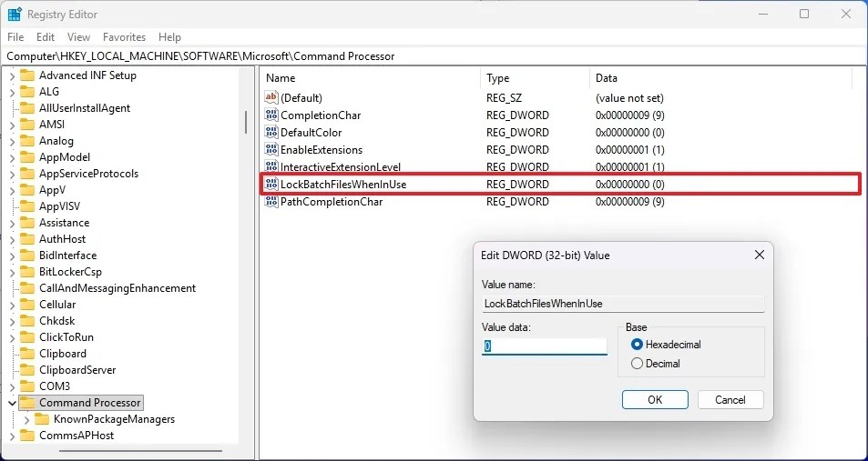 Registry LockBatchFilesWhenInUse key
