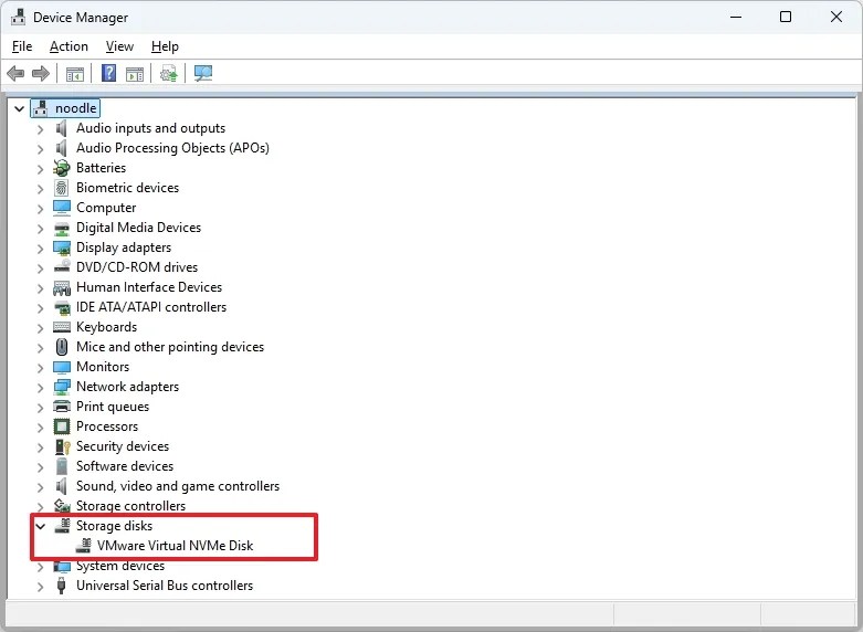 Device Manager Storage disks enabled
