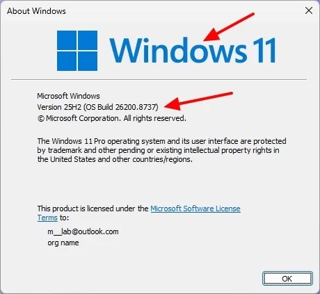 Windows 11 winver