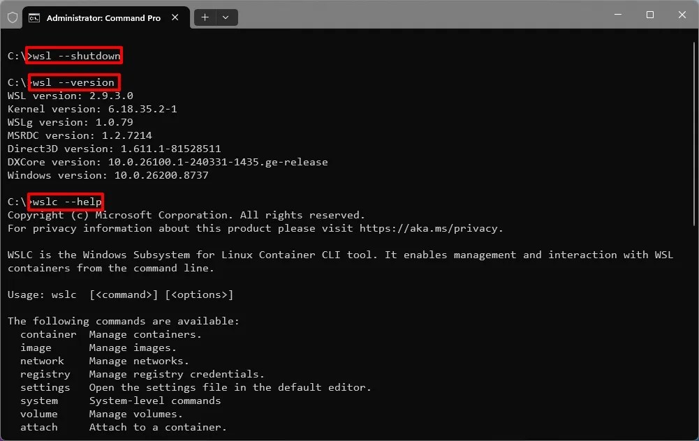 wslc command