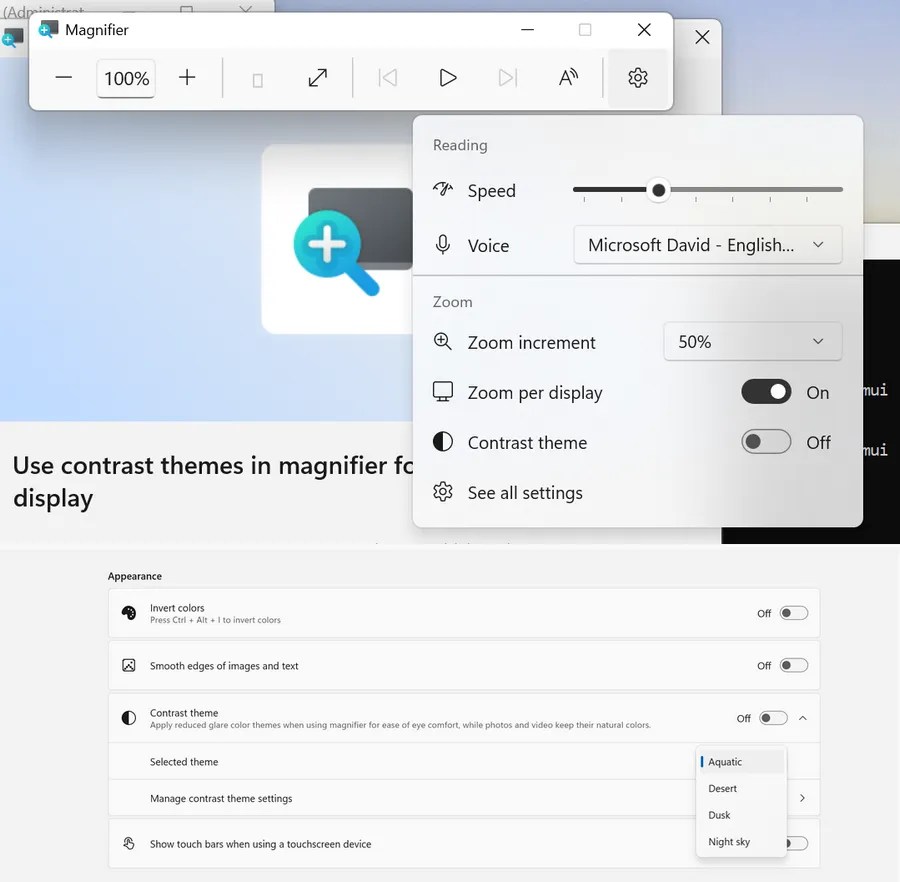 Magnifier new contrast theme