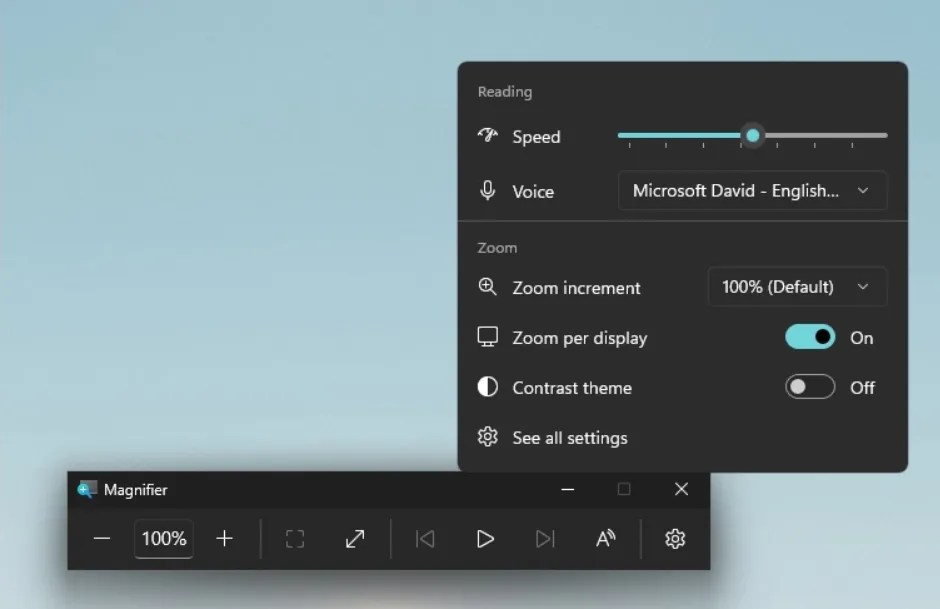 Magnifier Zoom per display