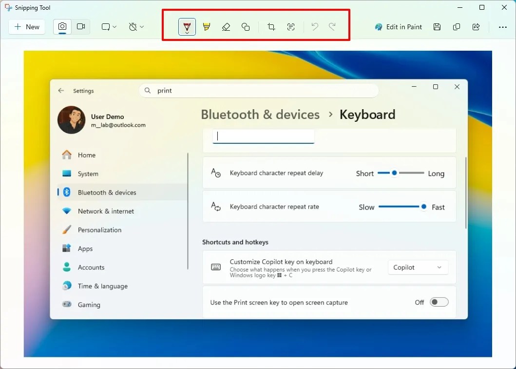 Snipping Tool edit screenshot
