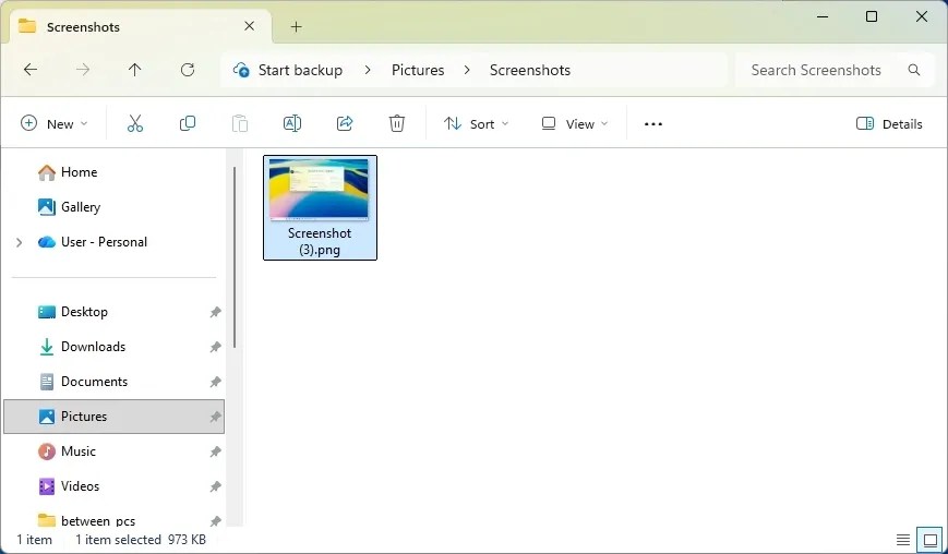 File Explorer Screenshots folder