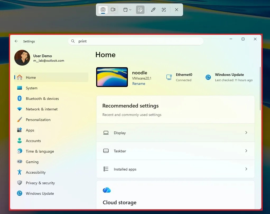 Window screenshot option