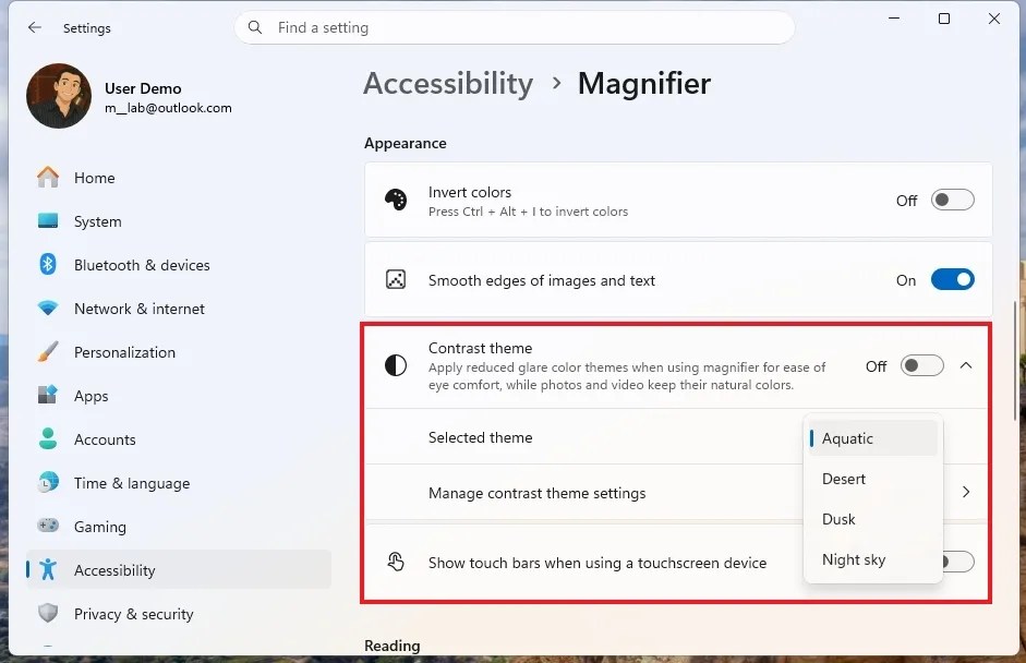 Magnifier Contrast theme