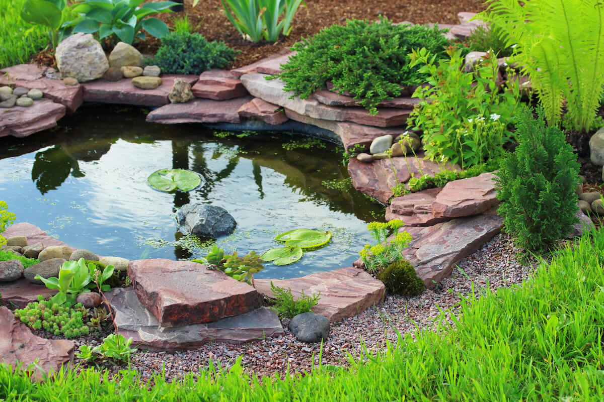Landscaping matters company · 6. Backyard Pond In Colorado Springs Colorado Purely Ponds Fine Landscapes