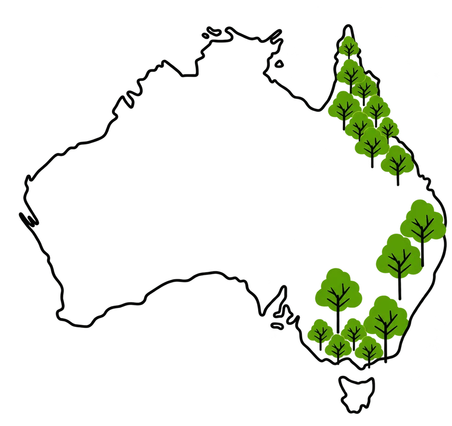 Map of One Tree Planted reforestation projects in eastern Australia