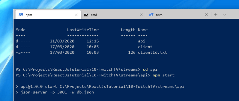 Windows 10 Tabbed Command Prompt example