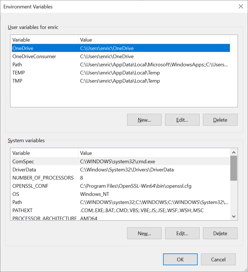 Environment properties on Windows 10