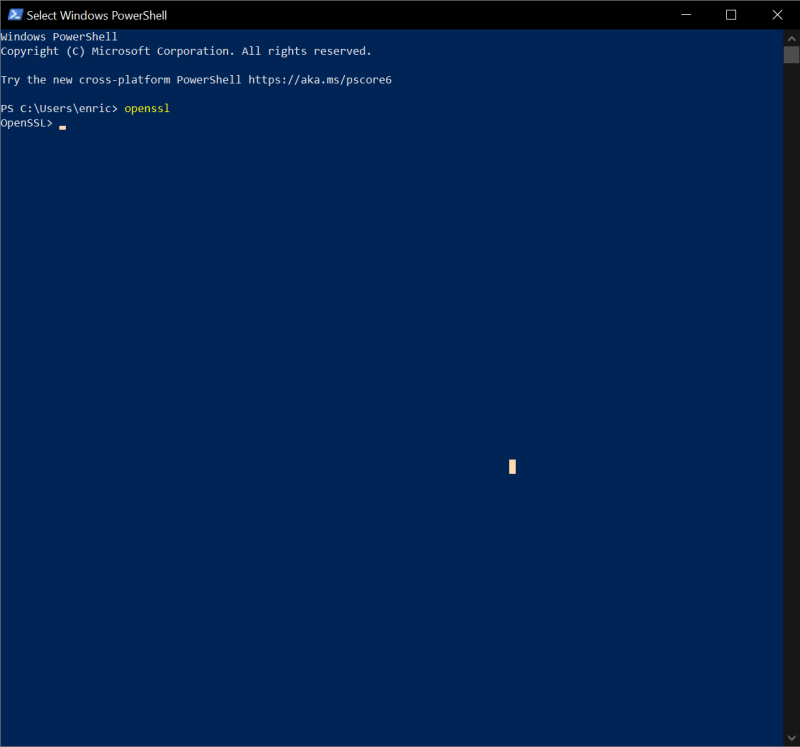 OpenSSL is running on PowerShell on Windows 10