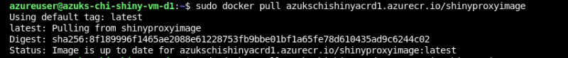 Docker pulls the image from Azure Container Registry - Deploy ShinyApps with Azure and Docker