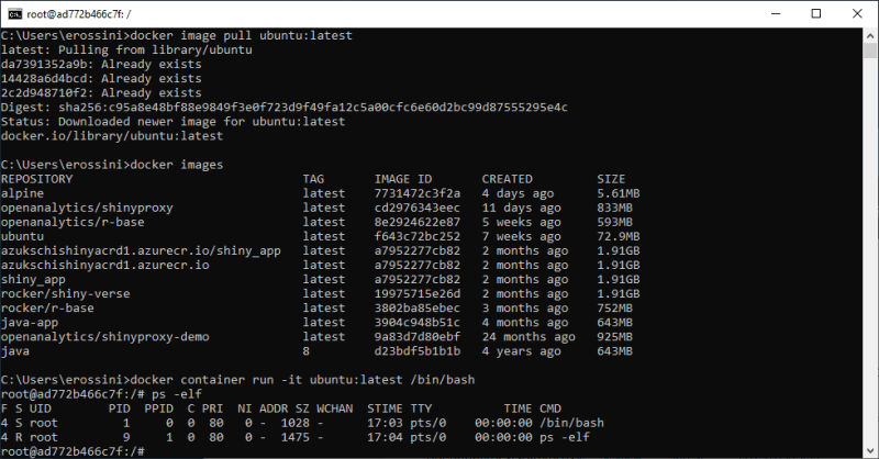 You are inside a Docker container You are inside a Docker container