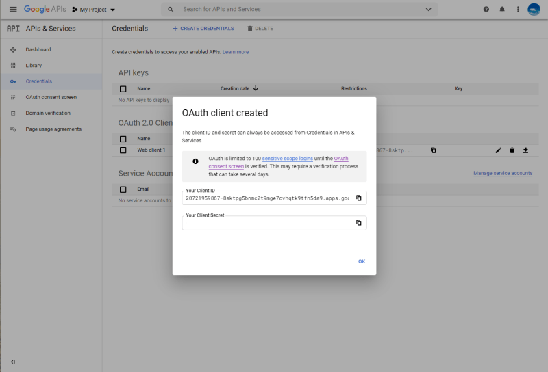 Google credentials