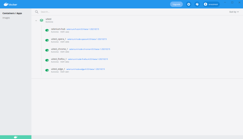 Docker runs Selenium Grid - UI Test with C#, Selenium and Selenium Grid