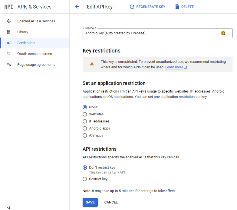 Google Console Api & Service credentials