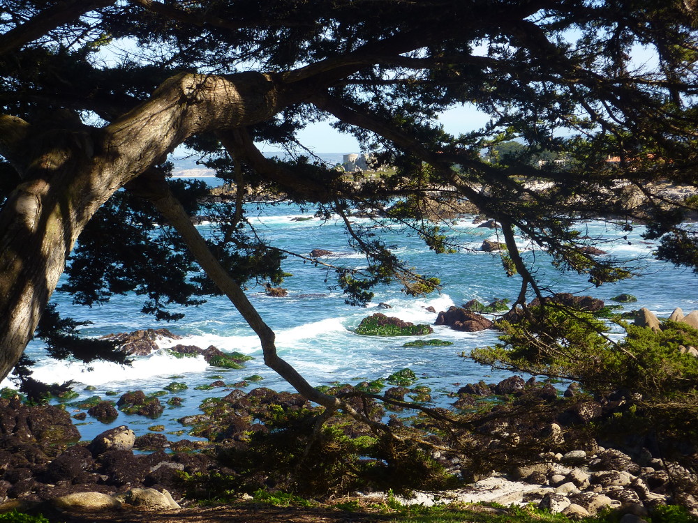 Asilomar trip near Monterey