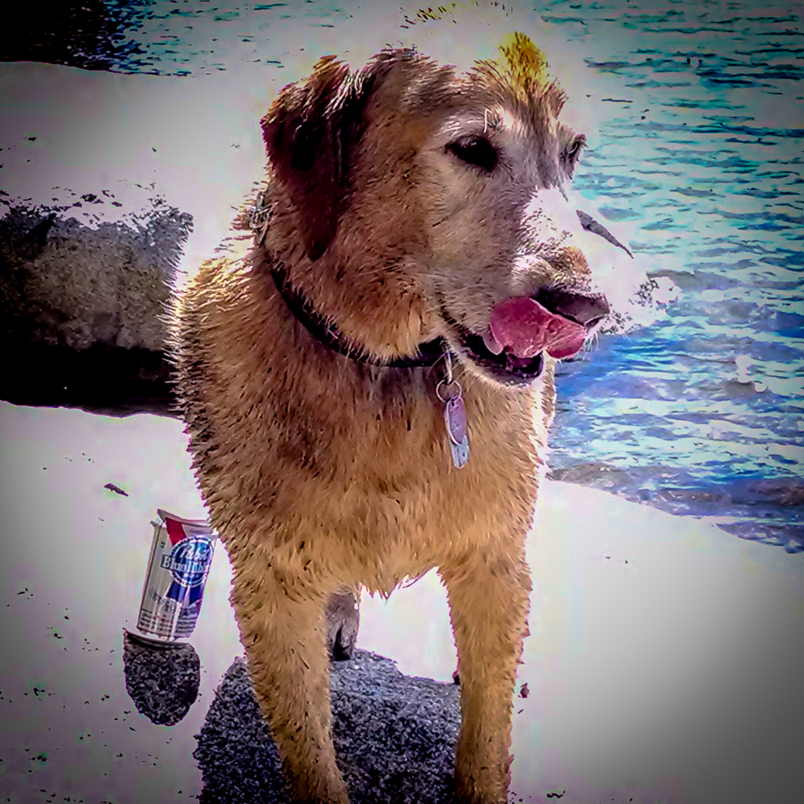 Ben and his PBR