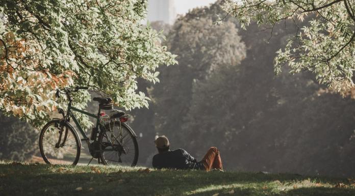 Appreciate the Lifelong Journey by Taking Breaks and Celebrating Your Wins