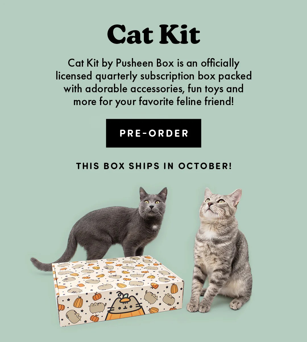 Subscribe Cat Pusheen Box