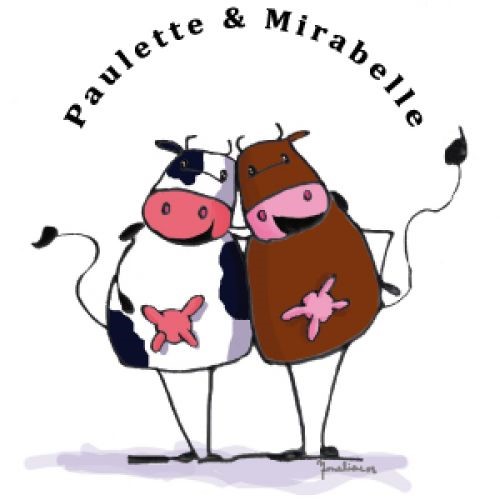 Emeline Boreux : Graphiste - Illustratrice "Nous concevons ensemble votre visuel pour qu'il vous ressemble"