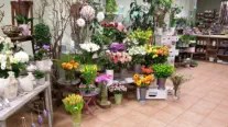 Blumenladen saarbrücken -pusteblume- blumen aus saarbrücken