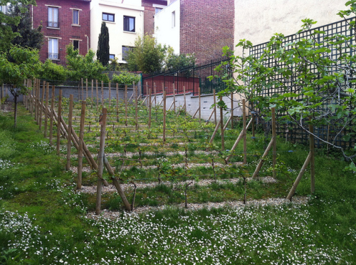 Prix M2 Enrobé Noir / Quel est le prix des travaux de rÃ©novation de cuisine
