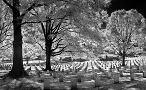 Perjalanan 3 Hari Ke Alam Gaib (Kisah Nyata) | Putri Aulia 177_X_285_jpg