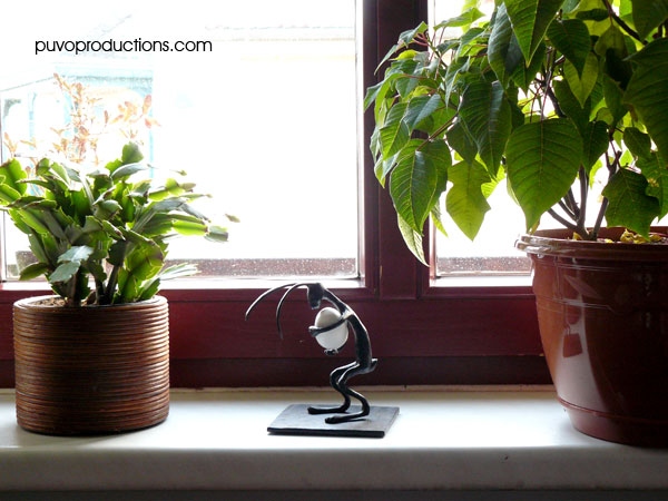 Das Ergebnis überzeugt sogar vorm ungeputzten Fenster...