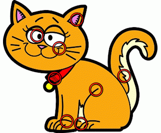 find-identical-cats-puzzle-with-answer