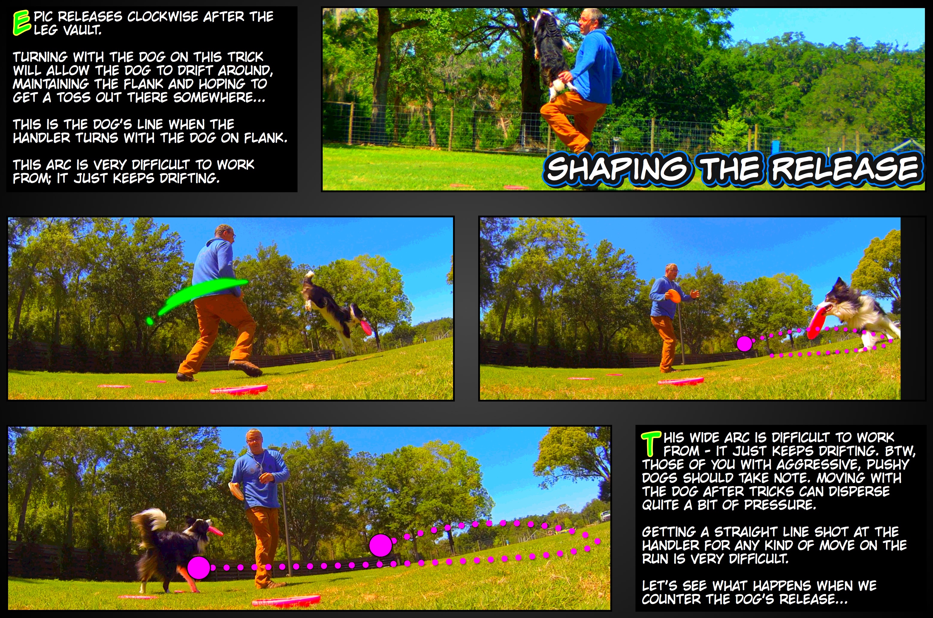 A Graphic Novel Training Jam Art Of Linking Tricks Compliments Of Pvybe Patrons Pawsitive Vybe