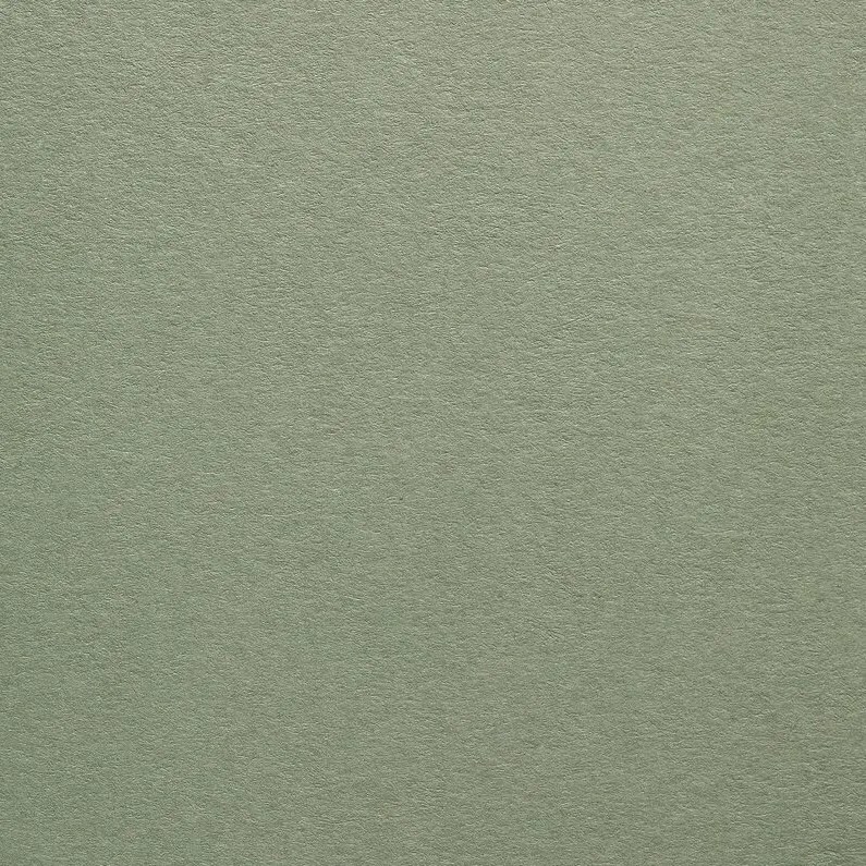 Colorplan Mid Green Print Work - Best Vintage Designs in High Resolution