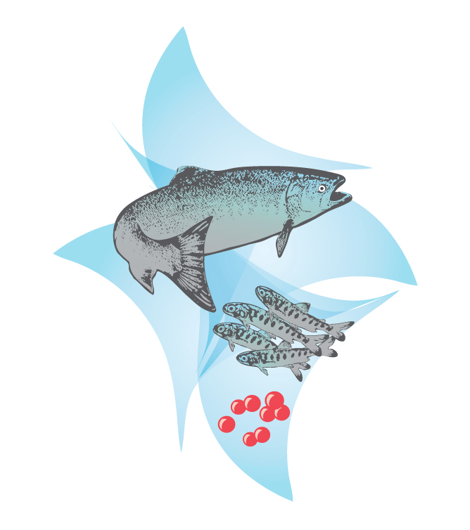 PWSAC_logofish.png?fit=668,754