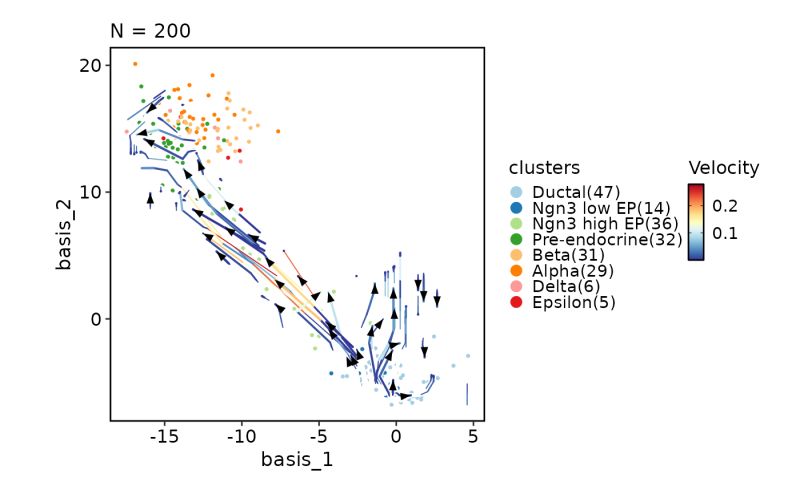 Dimplot Featuredimplot Dimplot Plotthis - Full HD Abstract Photos for Desktop