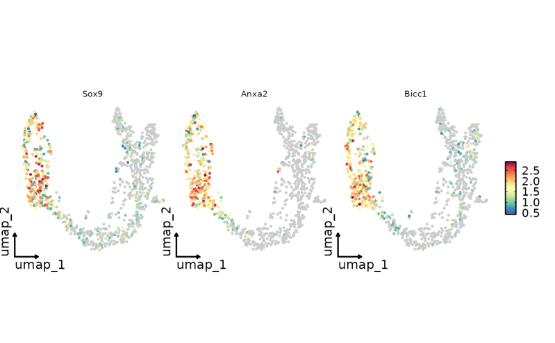 Custom Labeled Variable Features Plot Variablefeatureplot Sccustom - Stunning 4K Abstract Wallpapers | Free Download