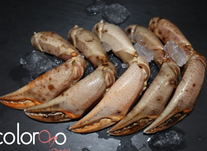 Bocas de cangrejo comprar online