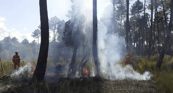 Appunti Di Lavoro Sul Campo Dall'italia: Condurre Una Ricerca Qualitativa Sulla Governance Degli Incendi Boschivi E Sui Contesti Sociali Locali Per La Gestione Adattativa Degli Incendi In Toscana – Pyrolife 325_x_602_png