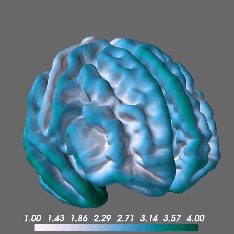 Github Dfsp Spirit Brainview Python Module To Visualize Morphometry Data On 3d Brain Meshes - Ocean Design Collection - Retina Quality
