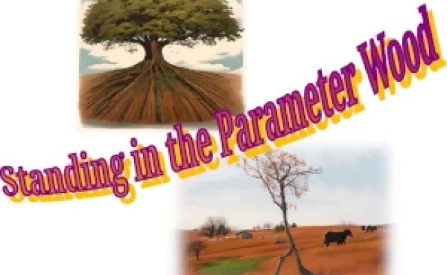 26. Parameters And Arguments | Python Tutorial | Python-course.eu