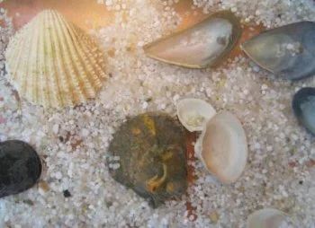 Me Learning Python Python Interactive Shell - 8K Nature Arts for Desktop