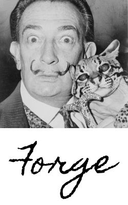 Python Forge - HD Ocean Photos for Desktop