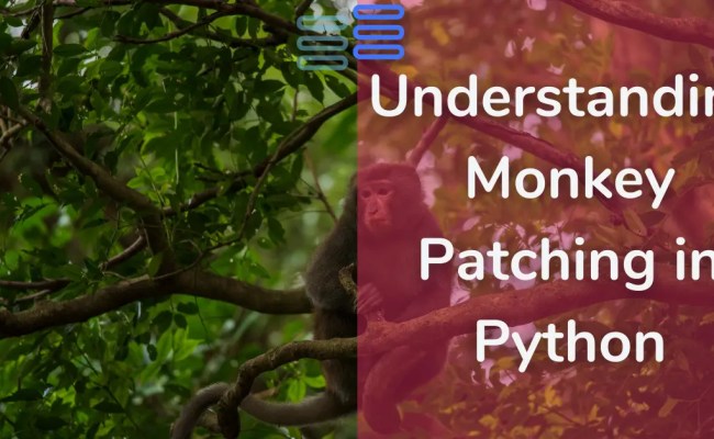 Question 16: Understanding Monkey Patching In Python - Python-hub