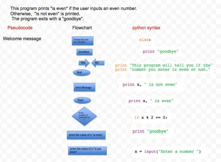 Interesting Flowchart Mrs Elia S Python - Nature Images - Amazing Mobile Collection
