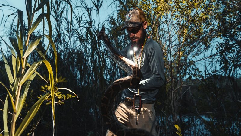 Florida Iguana Hunting Archives Python Cowboy - Premium Geometric Image Gallery - Desktop