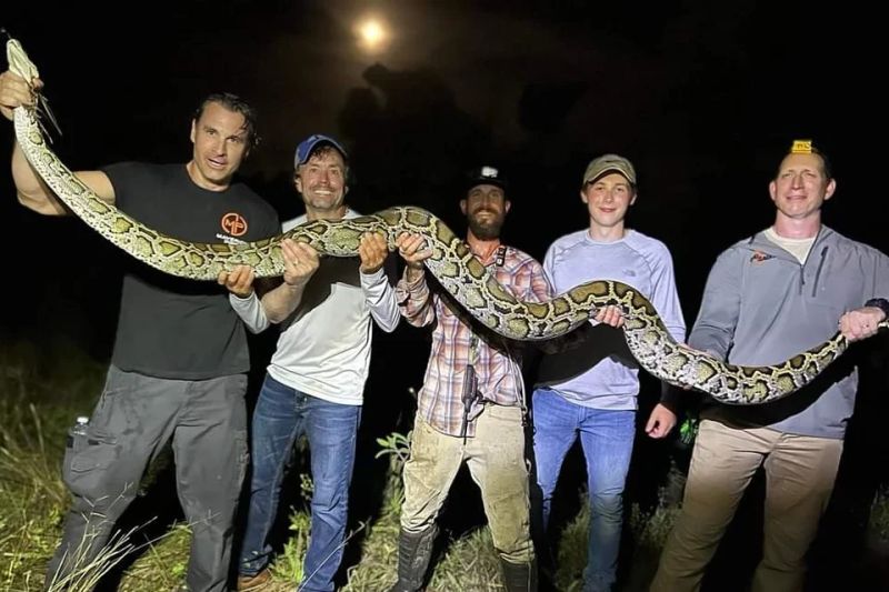 Florida Hunters Encounter Massive Python While Gator Hunting In Brevard - 4K Mountain Backgrounds for Desktop